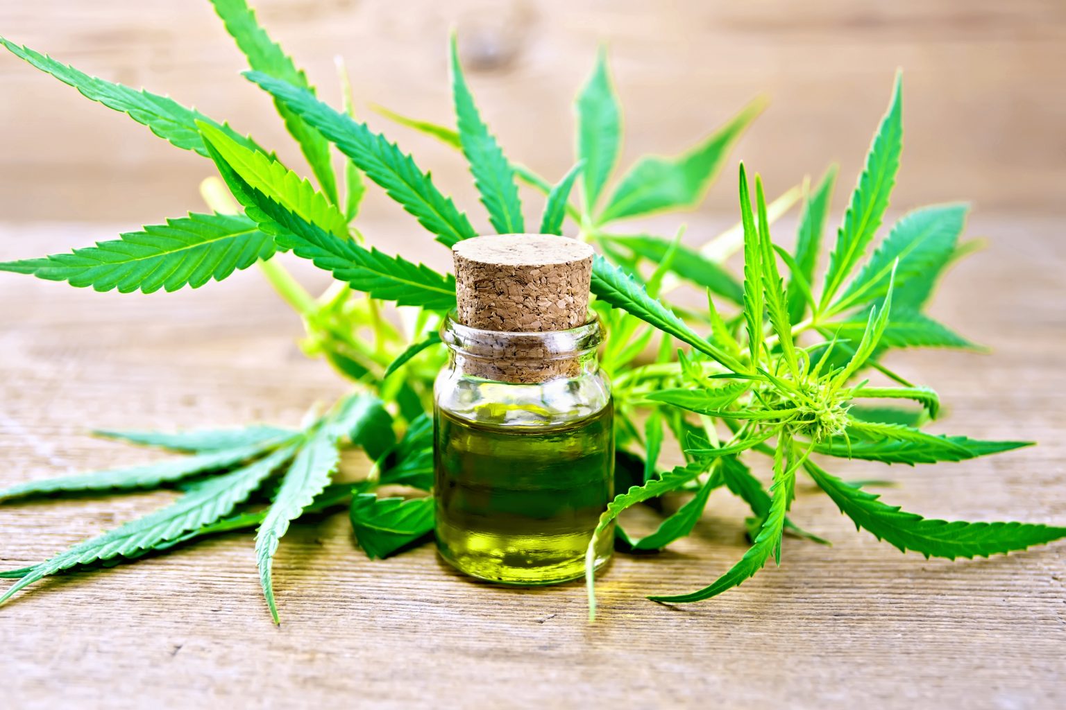 5 Ways to Seamlessly Introduce CBD to Your Daily Routine